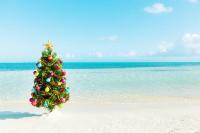 a christmas tree on the beach 